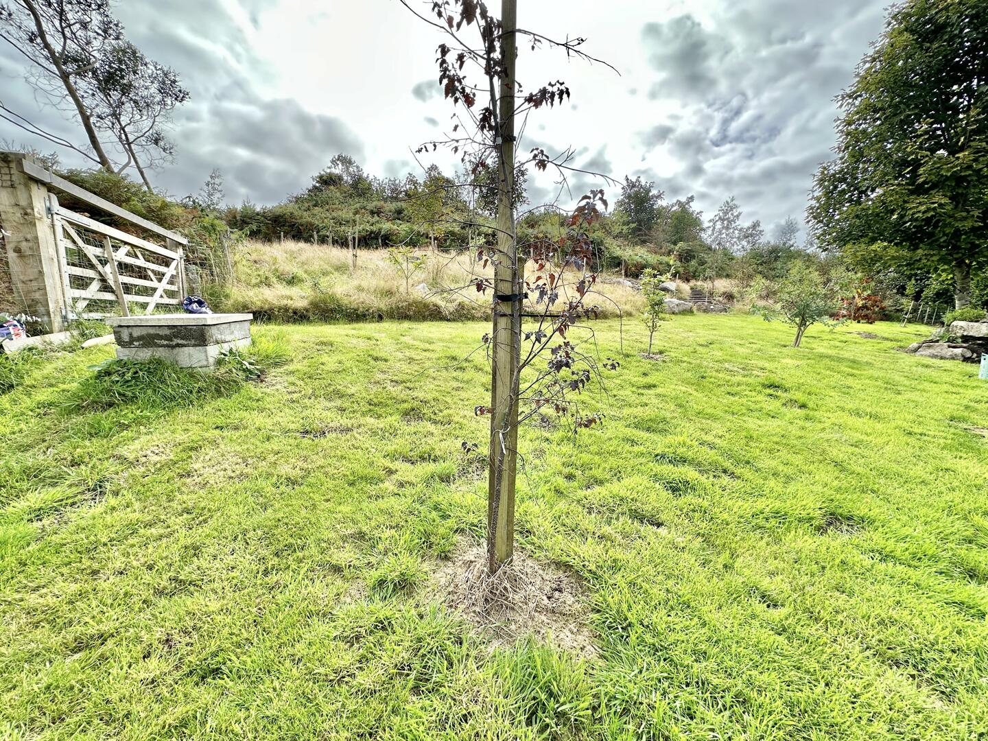Little Carharrack, Carharrack, Redruth